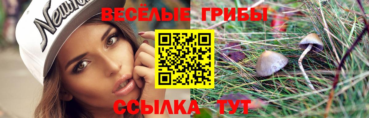 Ижевск  Галлюциногенные грибы мицелий  Псилоцибиновые грибы MAGIC MUSHROOMS  Вход с VPN 